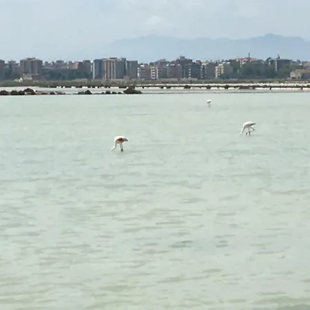 דירה Al Poetto Da Anna